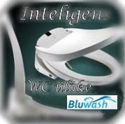 Bide